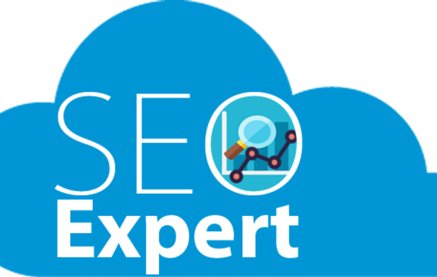 Looking for an SEO Expert?